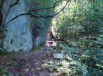 DSC00428.jpg