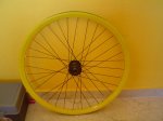 DSC01876.jpg
