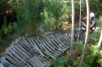DSCF7178.jpg