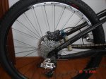 DSC07537.jpg