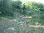 DSC02665.jpg