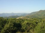 DSC02666.jpg
