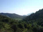 DSC02678.jpg