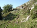 DSC02679.jpg