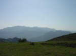DSC02687.jpg