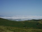 DSC02694.jpg