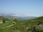 DSC02696.jpg