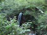 DSC01666.jpg