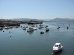 DSC01728.jpg