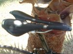 DSC00577.jpg
