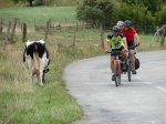 DSC01742.jpg