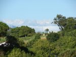 DSC01752.jpg