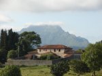 DSC01778.jpg