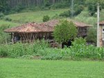 DSC01786.jpg