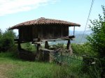 DSC01795.jpg