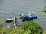 DSC01807.jpg