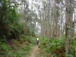 DSC01810.jpg
