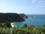 DSC01814.jpg