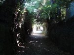 DSC01822.jpg