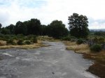 DSC01868.jpg