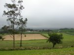 DSC01951.jpg