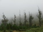 DSC01956.jpg