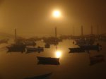 DSC01991.jpg