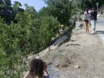 Imagen 026.jpg