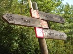 Foto41.JPG