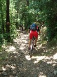 Foto43.JPG