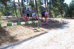 100_1272.jpg