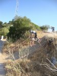 DSC00353.jpg