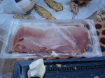DSC01948.JPG