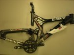 scott (2).jpg