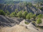 Foto21.JPG