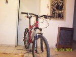 100_6295.jpg