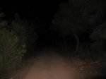 IMG_1708.jpg