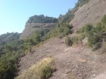DSC00108.jpg