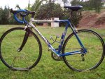 PINARELLO (12).jpg