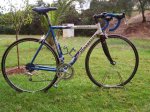 PINARELLO (14).jpg