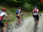 foromtb_image_21ago_03_num.jpg