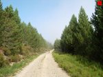 foromtb_image_21ago_05_num.jpg