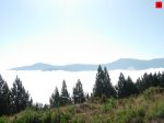 foromtb_image_21ago_06_num.jpg