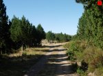 foromtb_image_21ago_07_num.jpg