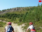foromtb_image_21ago_11_num.jpg