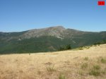 foromtb_image_21ago_21_num.jpg