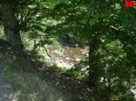 foromtb_image_21ago_31_num.jpg