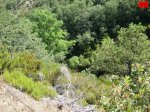 foromtb_image_21ago_33_num.jpg