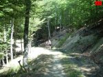 foromtb_image_21ago_45_num.jpg
