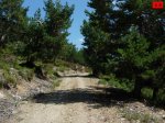 foromtb_image_21ago_48_num.jpg